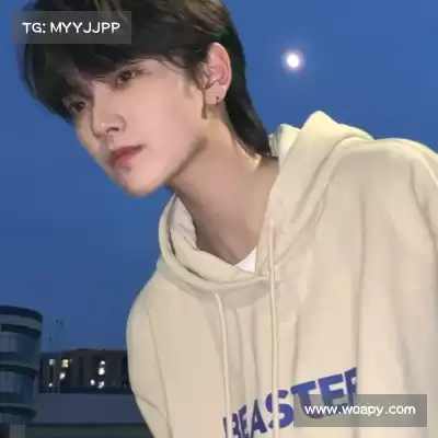 申英芝